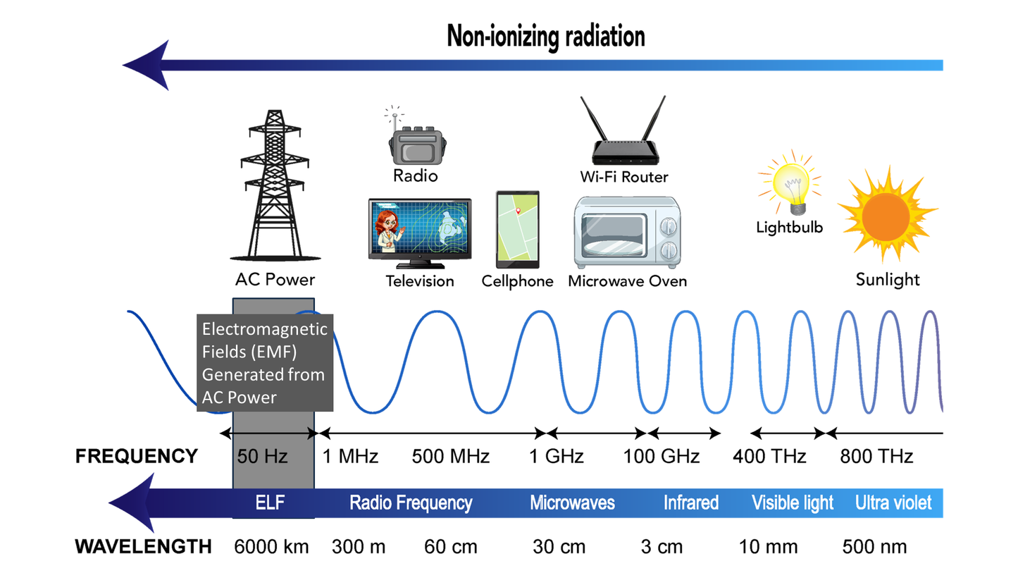 emGuarde - Patented ElectroMagnetic Field (EMF) Harmonizer to Protect Your Health