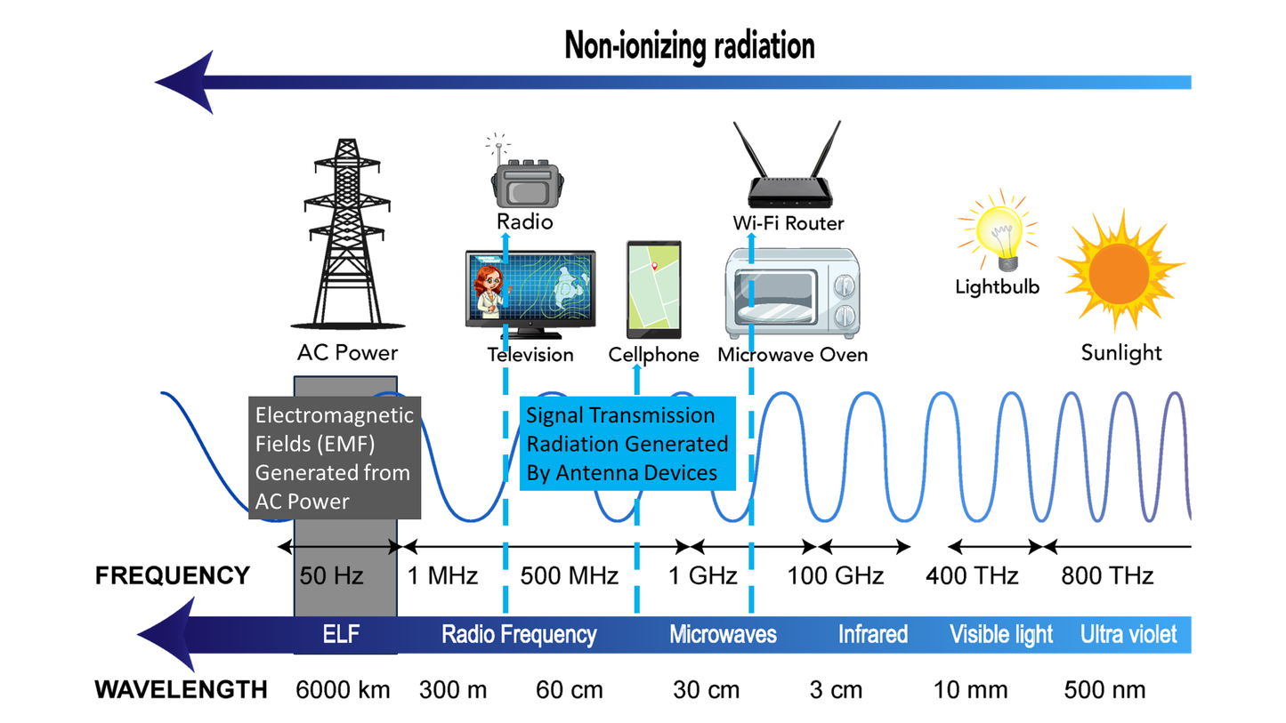 emGuarde - Patented ElectroMagnetic Field (EMF) Harmonizer to Protect Your Health