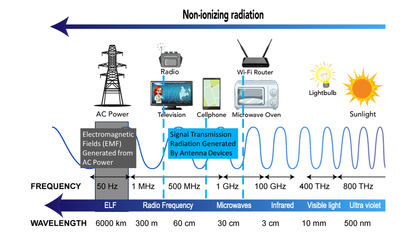 emGuarde - Patented ElectroMagnetic Field (EMF) Harmonizer to Protect Your Health